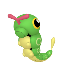 Caterpie
