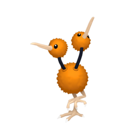 Doduo