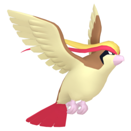 Pidgeot
