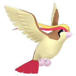 Pidgeot