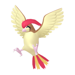 Pidgeotto