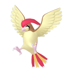 Pidgeotto