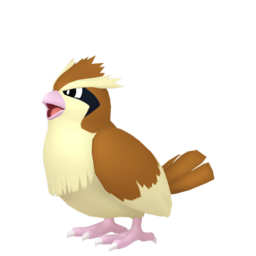 Pidgey