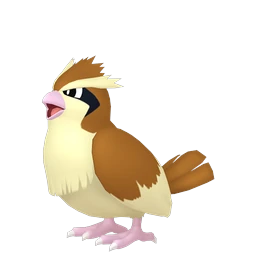 Pidgey