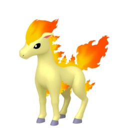 Ponyta