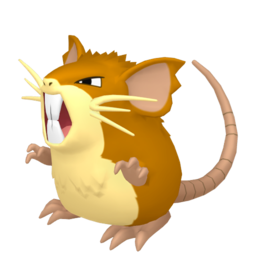 Raticate