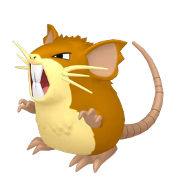 Raticate
