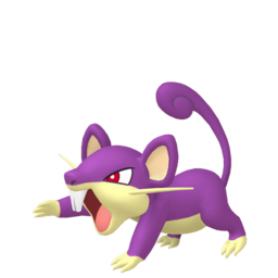 Rattata