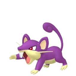 Rattata