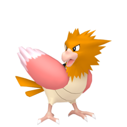 Spearow