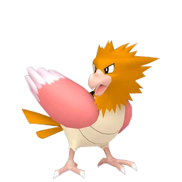 Spearow