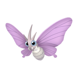 Venomoth